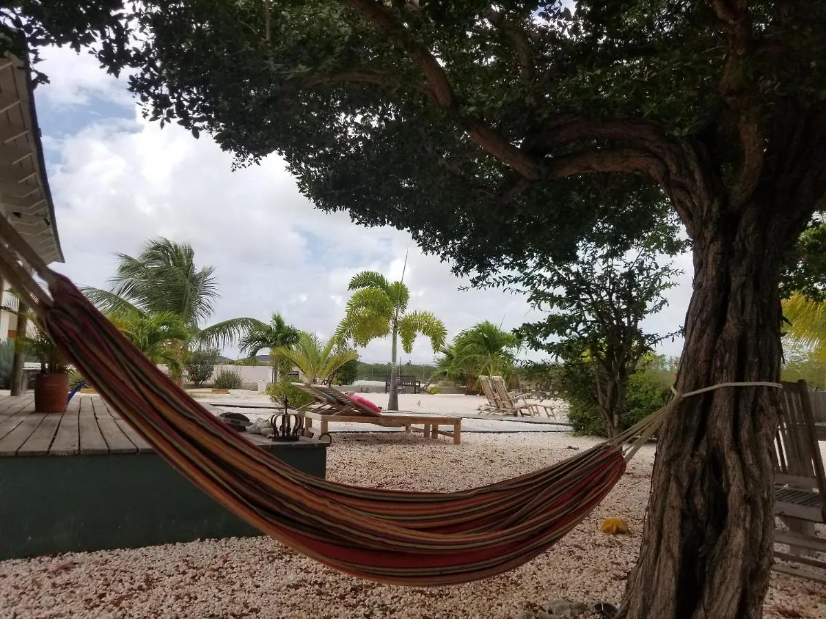 Kas oleifi rust en natuur Playa Kralendijk