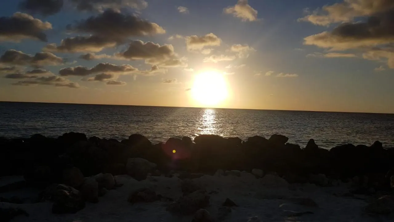 Kas oleifi rust en natuur Playa
